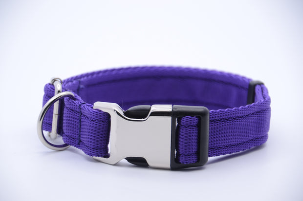 Activity Dog Collar - Purple