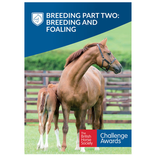 Challenge Awards Breeding Individual Packs