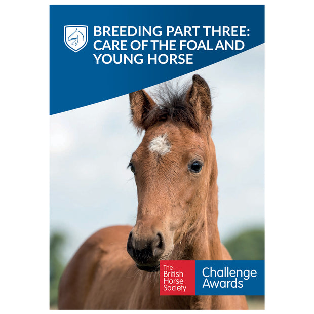 Challenge Awards Breeding Individual Packs