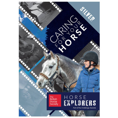 Horse Explorers Silver Individual Awards