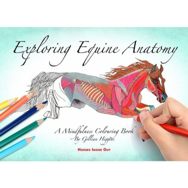 Exploring Equine Anatomy