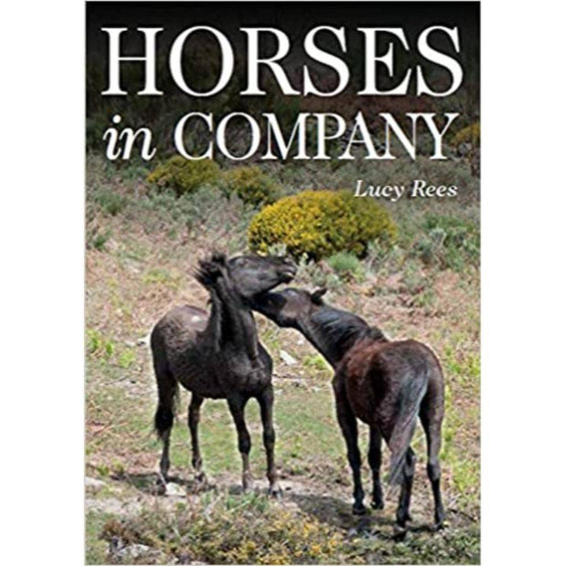 Horses in Company