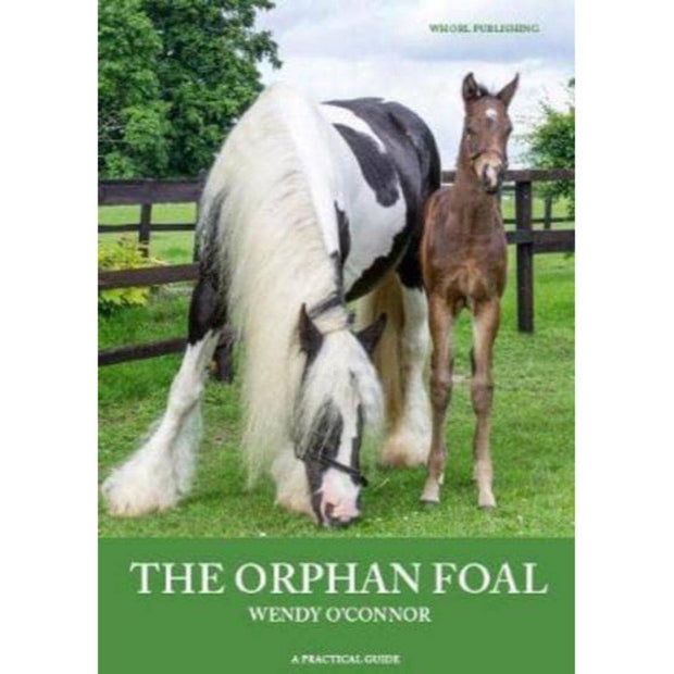 The Orphan Foal