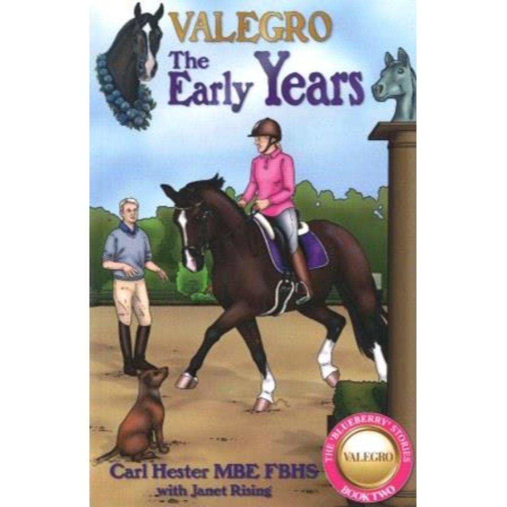 Valegro rocking sales horse
