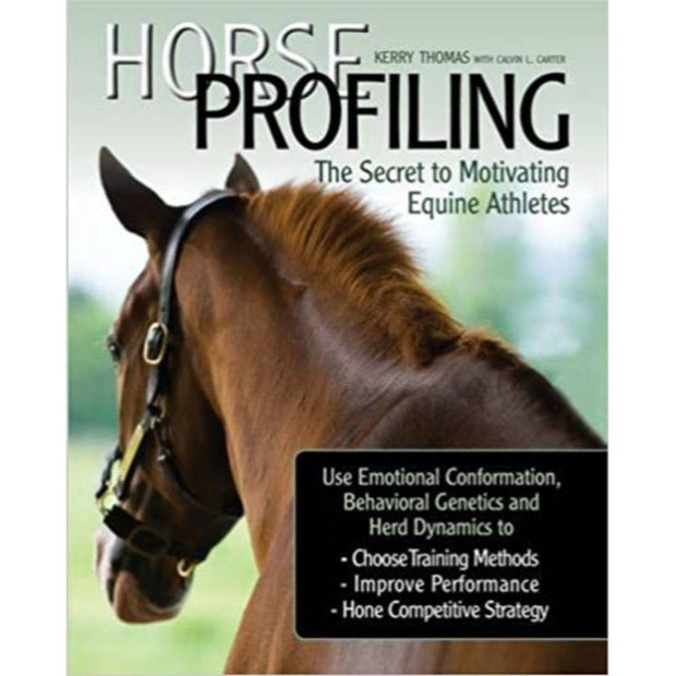 Horse Profiling The Secret to Motivating Equine Athletes