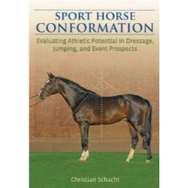 Sport Horse Conformation