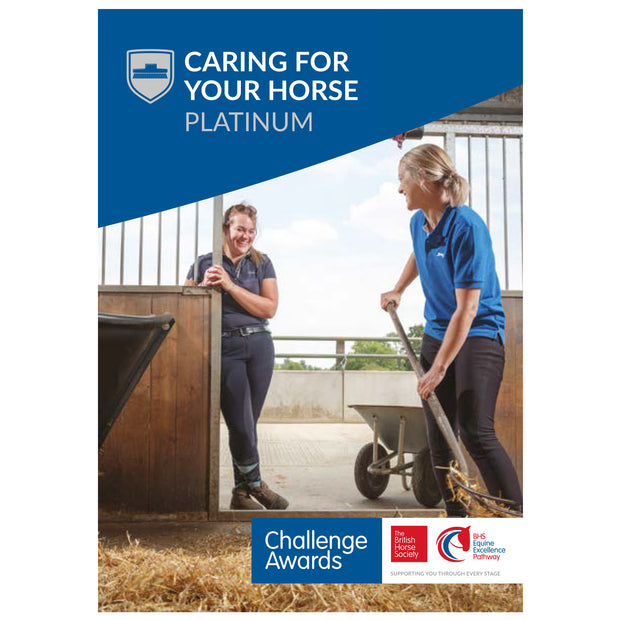 Challenge Awards Platinum Individual Awards