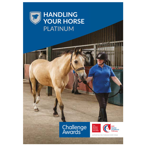 Challenge Awards Platinum Individual Awards