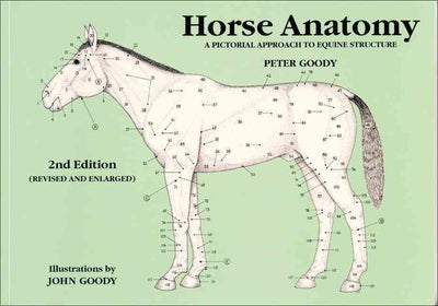 Horse Anatomy: A Pictorial Approach to Equine Structure