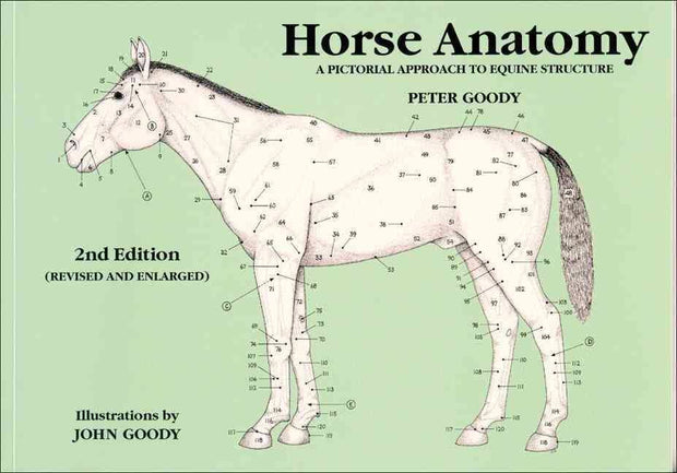 Horse Anatomy: A Pictorial Approach to Equine Structure