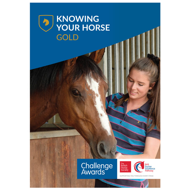 Challenge Awards Gold Individual Awards