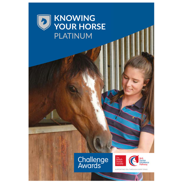 Challenge Awards Platinum Individual Awards