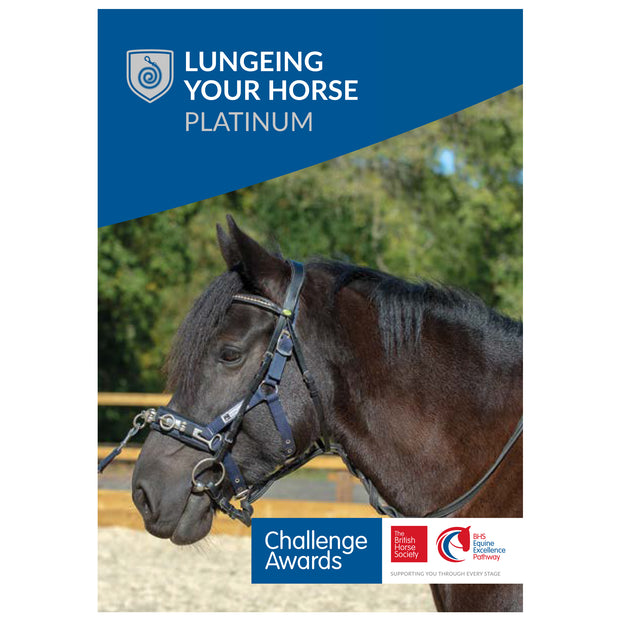 Challenge Awards Platinum Individual Awards