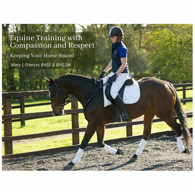 Equine Training with Compassion and Respect