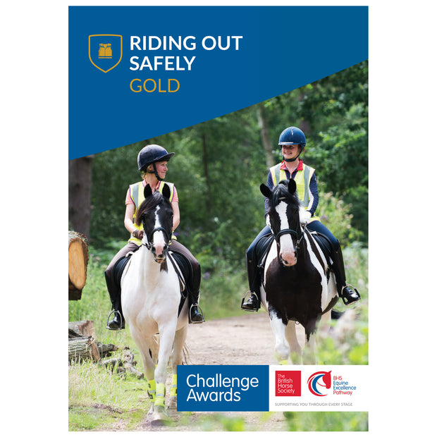 Challenge Awards Gold Individual Awards