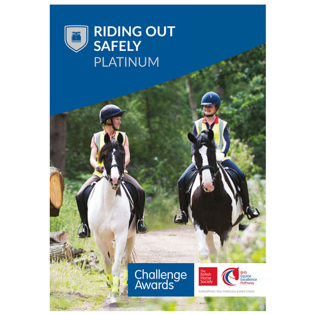 Challenge Awards Platinum Individual Awards