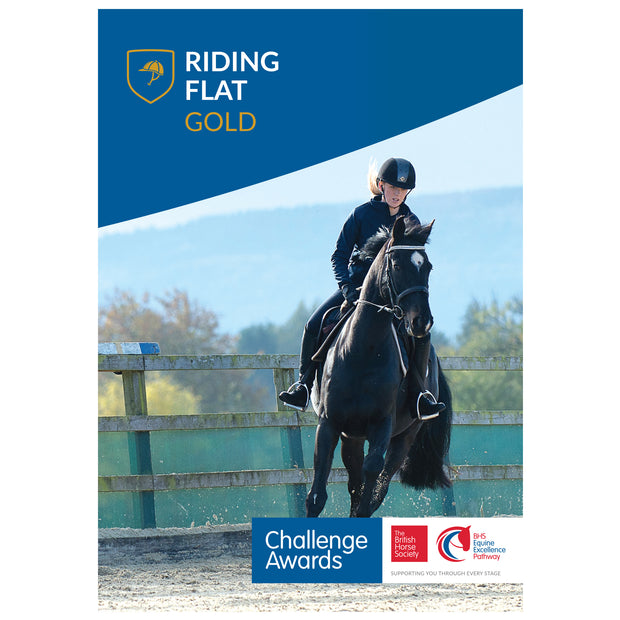 Challenge Awards Gold Individual Awards
