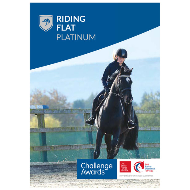 Challenge Awards Platinum Individual Awards