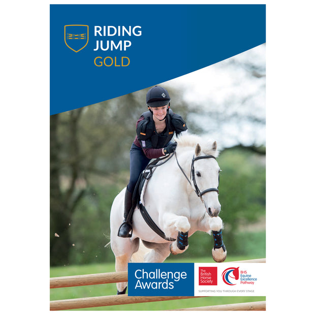 Challenge Awards Gold Individual Awards