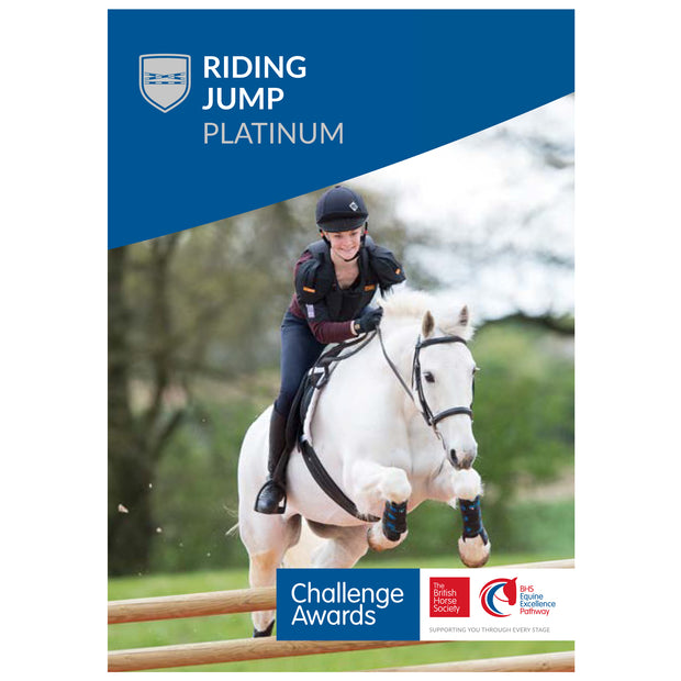 Challenge Awards Platinum Individual Awards