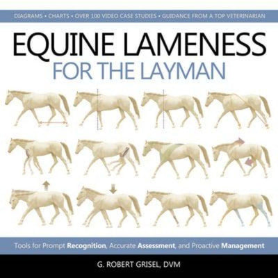 Equine Lameness for the Layman