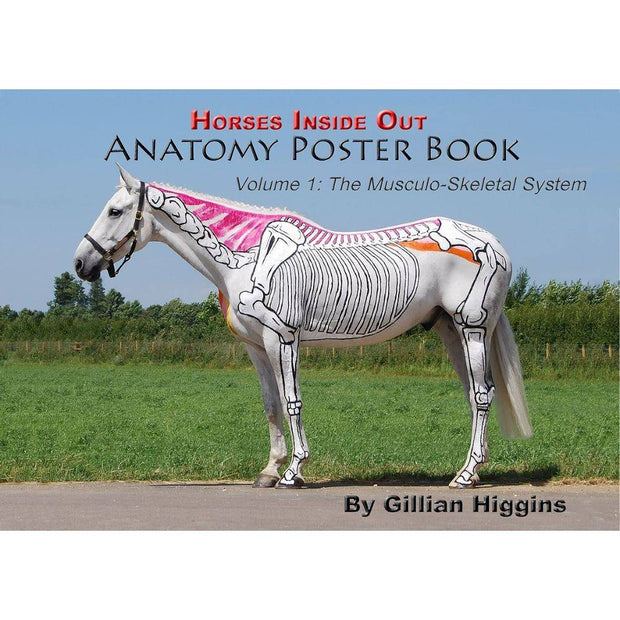 Horses Inside Out Anatomy Poster Book vol 1