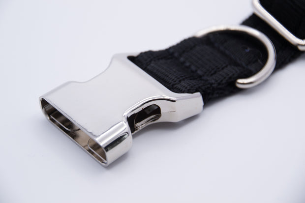 Activity Dog Collar - Black