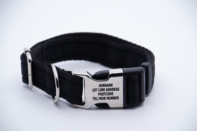 Activity Dog Collar - Black