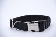 Activity Dog Collar - Black