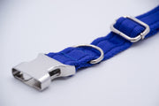 Activity Dog Collar - Blue