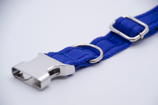 Activity Dog Collar - Blue