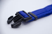 Activity Dog Collar - Blue