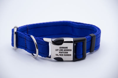 Activity Dog Collar - Blue