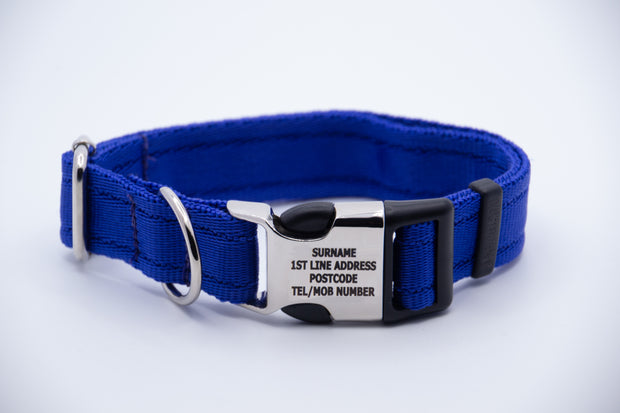 Activity Dog Collar - Blue