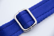Activity Dog Collar - Blue