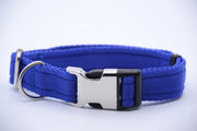Activity Dog Collar - Blue