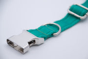 Activity Dog Collar - Green