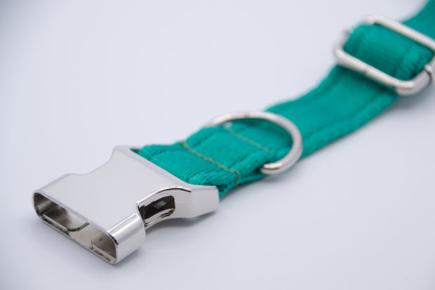 Activity Dog Collar - Green