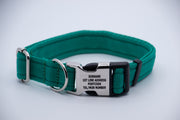 Activity Dog Collar - Green