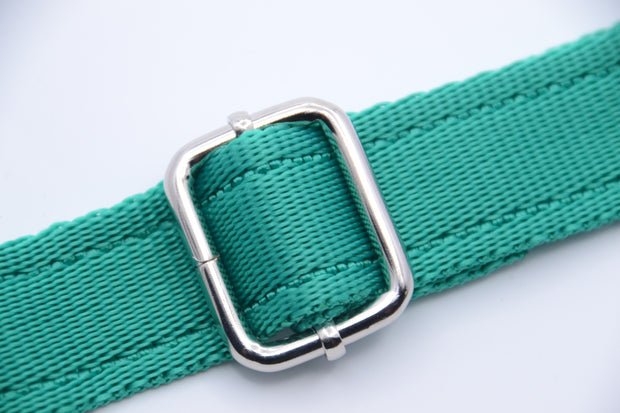 Activity Dog Collar - Green