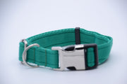 Activity Dog Collar - Green