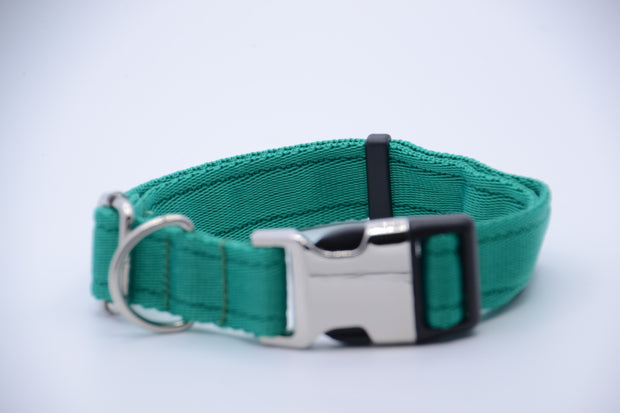 Activity Dog Collar - Green