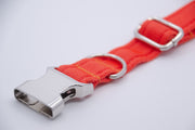 Activity Dog Collar - Orange