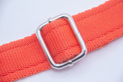 Activity Dog Collar - Orange