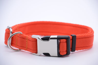 Activity Dog Collar - Orange