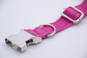 Activity Dog Collar - Pink