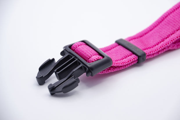 Activity Dog Collar - Pink