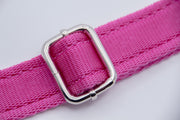 Activity Dog Collar - Pink