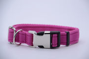 Activity Dog Collar - Pink