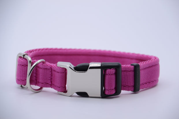 Activity Dog Collar - Pink